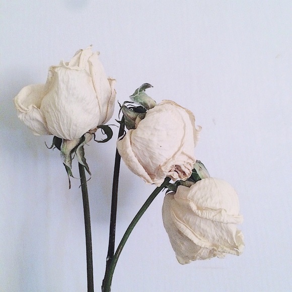 Meet your Posher, Narah - Picture 1 of 1